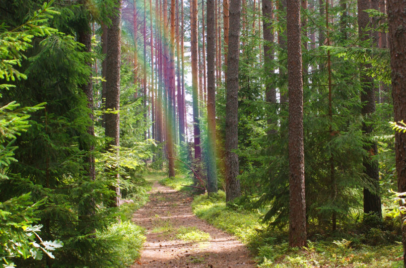 Selecting your ideal David Dunkley Fine Millinery